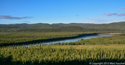 Boreal Forest, Klondike Highway, Yukon