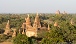View from 
Shwesandaw Pagoda 
Bagan, Myanmar