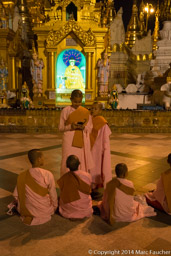 Nuns at Shwedagon Pagoda