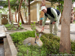 Marc petting a baby Common Duiker, Mom is in the front
Tourist Restaurant
Arba Minch, Ethiopia