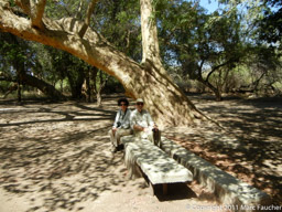 Marc and Peggy at Zinjero Campsite
Awash National Park
Ethiopia