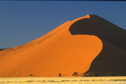 Dune 43
