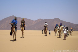 Riding camels across the crater