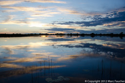 Okavango Delta sunset, Botswana