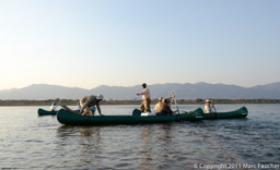 Canoes on the Zambezi