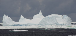 Southern Ocean Icebergs