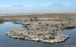 Laguna Chaxa