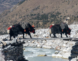 Yak Bridge