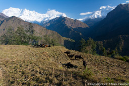 Dhaulagiri 1st view