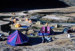 Cocoyo camp