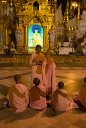 Nuns at Shwedagon Pagoda