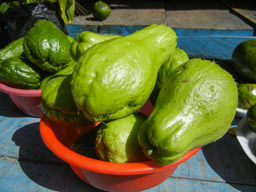 Chayote, a local vegetable