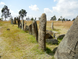 Stelae, marking a large prehistoric burial site
Tiya, Ethiopia