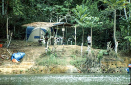 Akaka Camp 