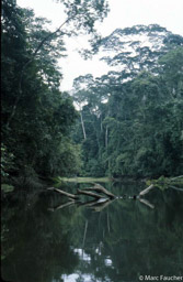 Echira River 