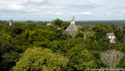 Tikal Temples II and I