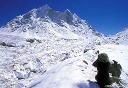 Gangotri Glacier View