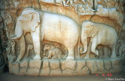 Mahabalipuram carving 