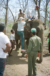 Mounting elephant 