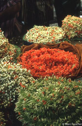 Mysore garlands 