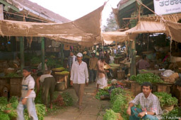 Mysore Market 