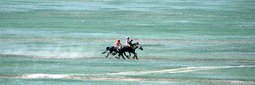 Naadam Horse Race