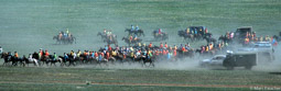 Naadam Horse Race Start
