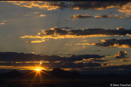 Namib Sunrise