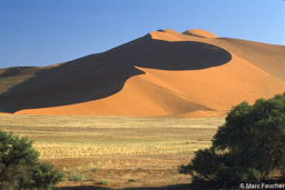 Dune 17