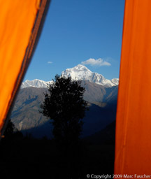 Dhaulagiri Tent View