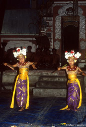 Young Dancers 