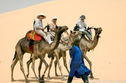 Pris, Elizabeth and Peggy on Camels