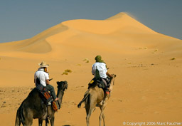 Dan and Skip riding Camels