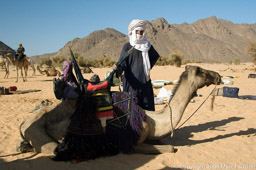Camel Driver with his camel