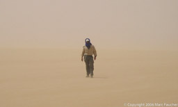 Marc in a Sand Storm