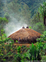 Ambunum Village Hut