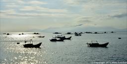 Nha Trang Fishing Boats