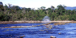 Rio Carrao Rapids