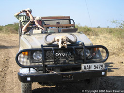 On safari